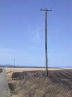 Sun 05 - Telephone pole scorched but standing.